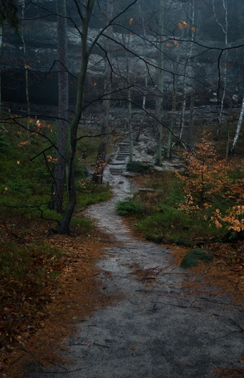 Im Schrammsteingebiet