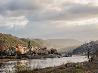 Blick auf Bad Schandau