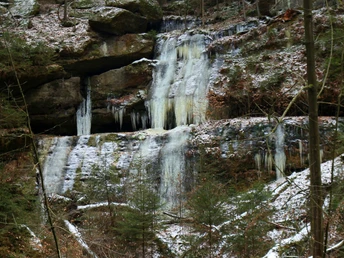 Eiszapfen im Polenztal
