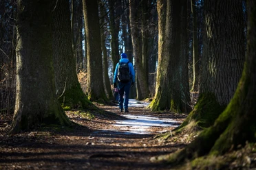 Promenadenweg (Winterwanderroute 28 Götzinger Höhe)