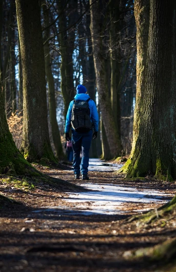 Promenadenweg (Winterwanderroute 28 Götzinger Höhe)