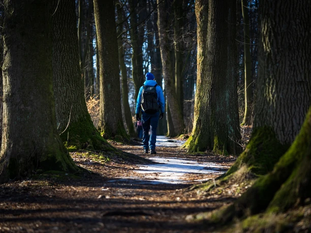 Promenadenweg (Winterwanderroute 28 Götzinger Höhe)