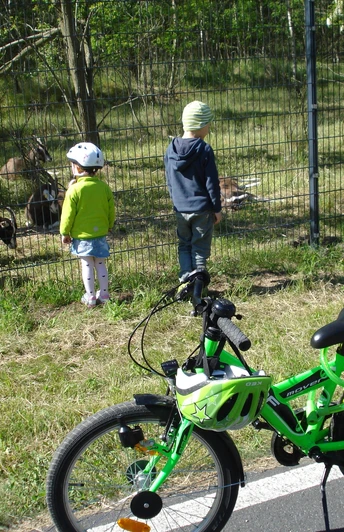 Berzdorfer See, Ziegengehege