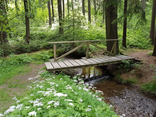 Brücke im Hüttenbachtal