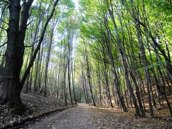Der Breite Grund zwischen Freital-Hainsberg und Freital-Weißig