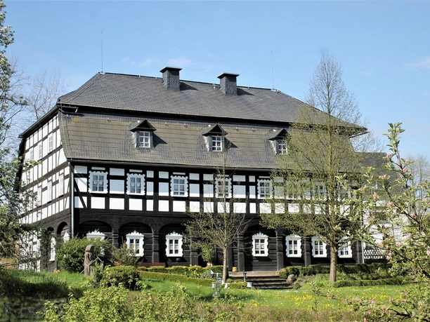 Alte Mangel im Frühling