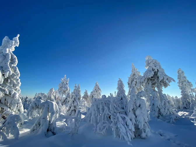 Winter kleiner Fichtelberg