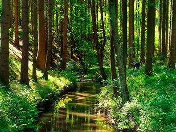 Lieblingstal Dittersbach-Dürrröhrsdorf