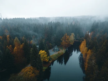Meilerhütte im Herbst