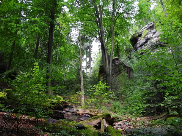 Am Kleinen Winterberg