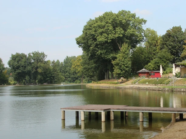 Freibadesee Neustadt-Sachsen