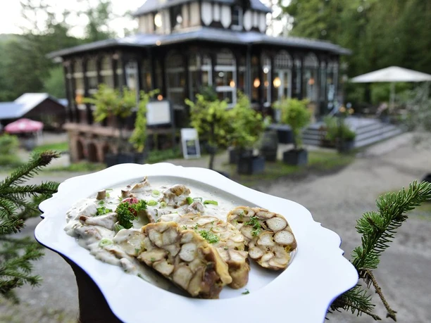 Waldquelle – Restaurant & Café Bad Elster