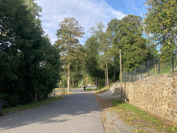 Abzweig in Langenwolmdorf zur Stolpener Straße