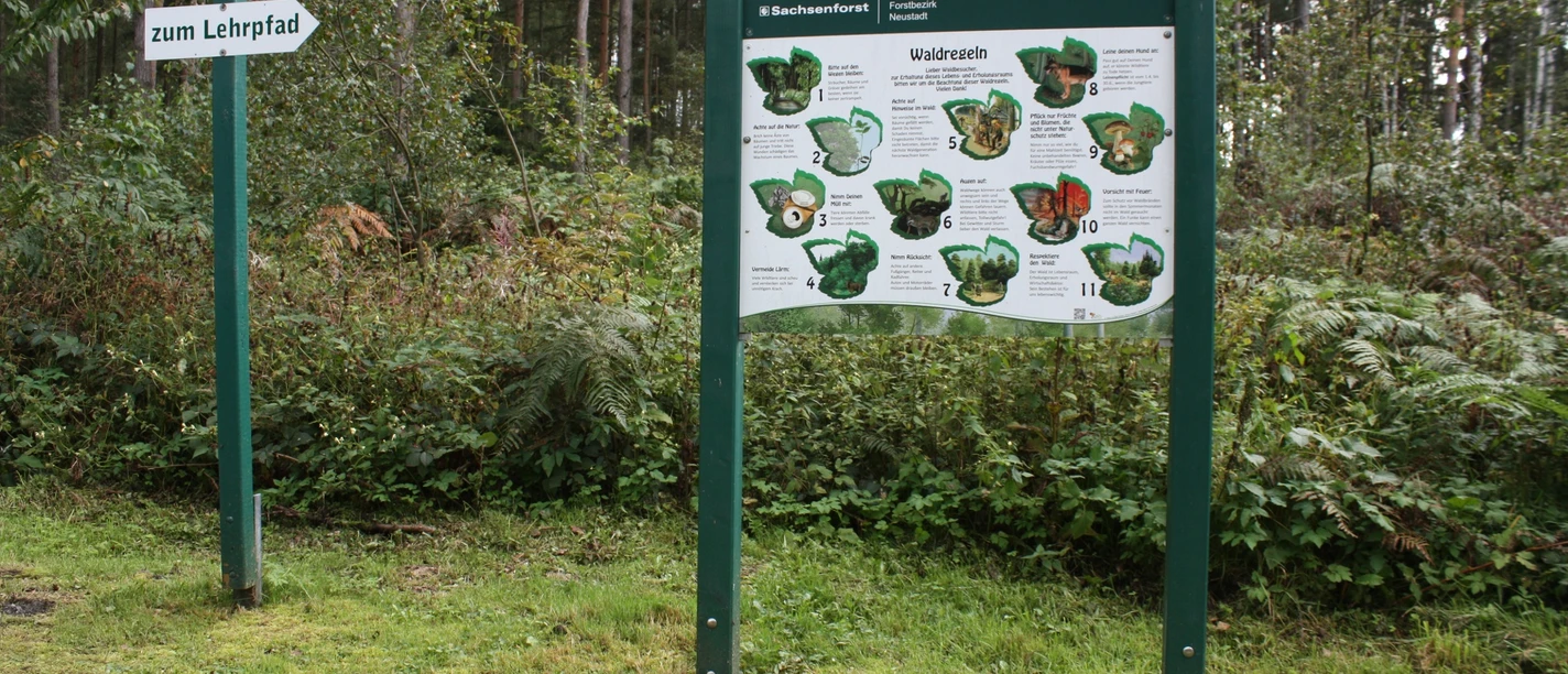 Waldlehrpfad Buchenhain