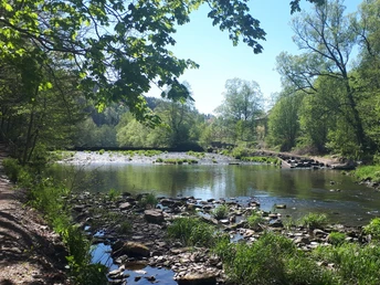 Uferweg mit Fischtreppe an der Zschopau