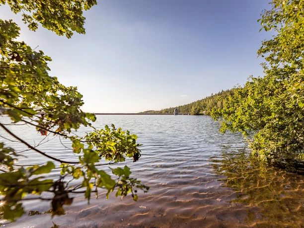 Blick über die Querenbachtalsperre