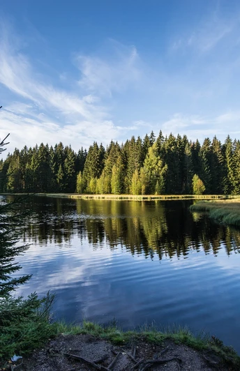 Vogtlandsee im Sommer