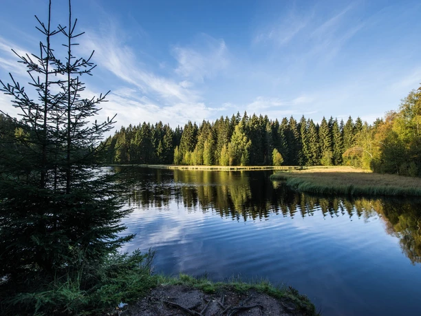 Vogtlandsee im Sommer