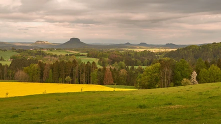 Blick vom Adamsberg