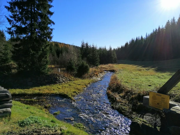 Rehefeld-Zaunhaus