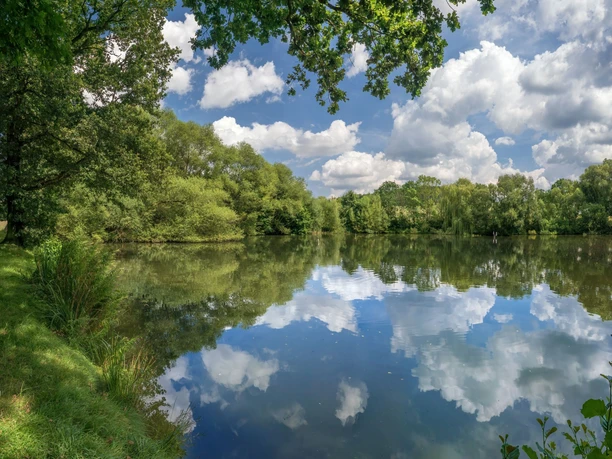 Reuthteich Weischlitz