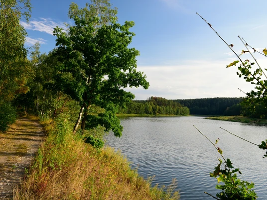 Leubatalsperre Wanderweg Ostufer