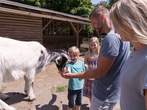 Tiergehege Zeulenroda