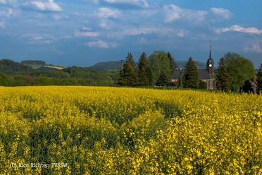 Porschdorf
