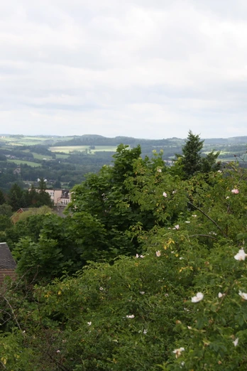 Blick vom Taubenhübel