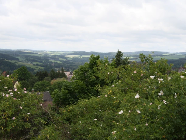 Blick vom Taubenhübel