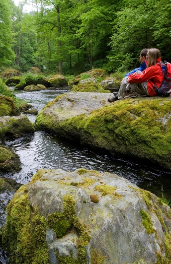 Wanderer im Triebtal