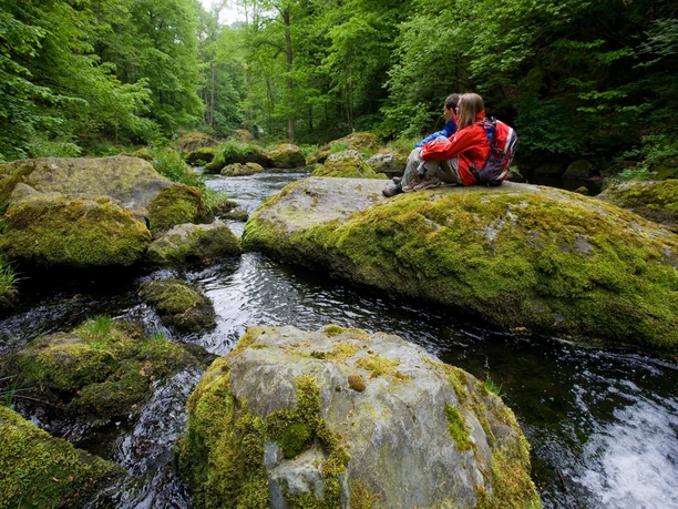 Wanderer im Triebtal