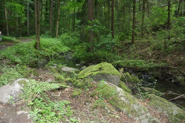Wildromantisches Nymphental