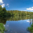Schlötenteich im Greiz-Werdauer Wald