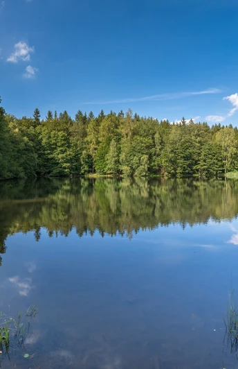 Schlötenteich im Greiz-Werdauer Wald