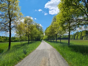 Tour Durch das Waldhaus Revier Greiz