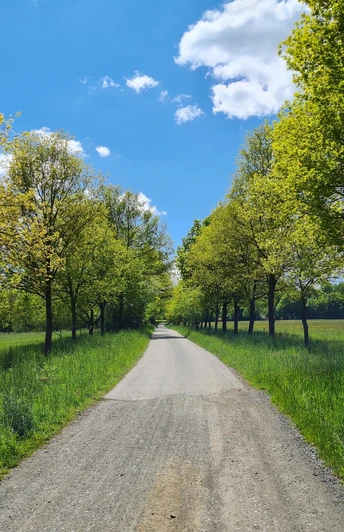 Tour Durch das Waldhaus Revier Greiz