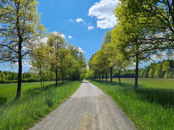 Tour Durch das Waldhaus Revier Greiz