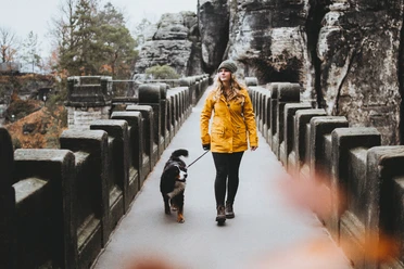 Auf der Basteibrücke mit Hund