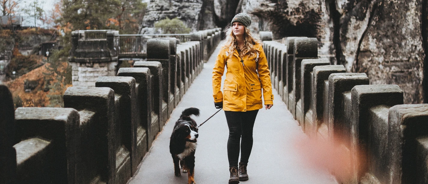Auf der Basteibrücke mit Hund