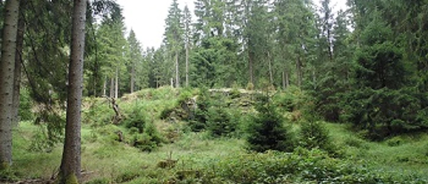 Pfaffenstein nahe Schneckenstein