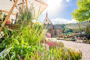 Bauernmarkt im Kloster Buch bei Leisnig
