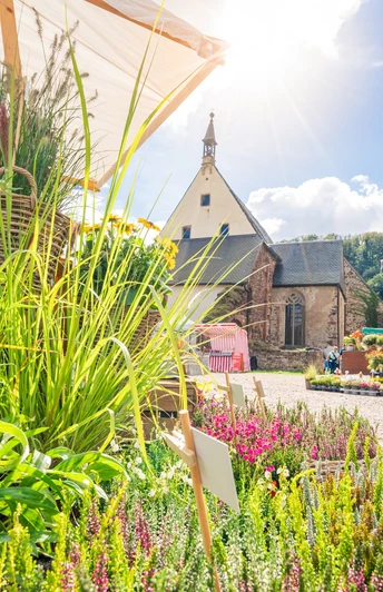 Bauernmarkt im Kloster Buch bei Leisnig