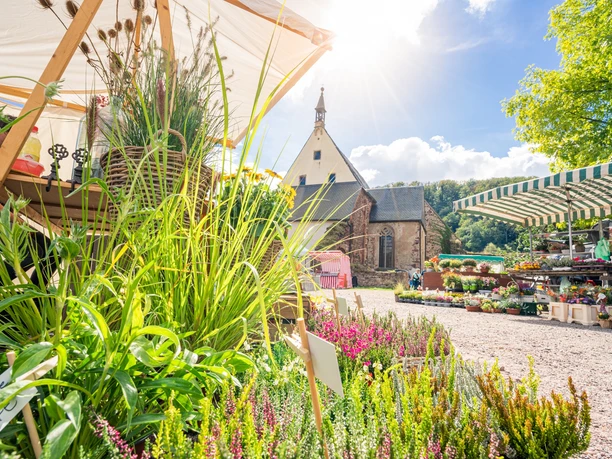 Bauernmarkt im Kloster Buch bei Leisnig