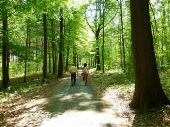 Unterwegs im Colditzer Forst