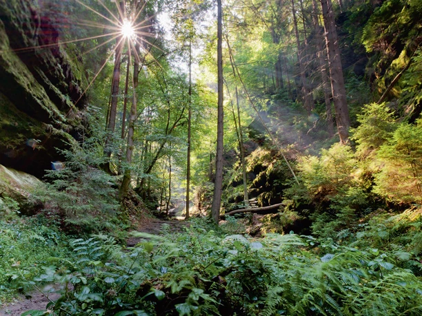 Schindergraben