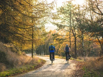 Radfahrer unterwegs in der Böhmischen Schweiz