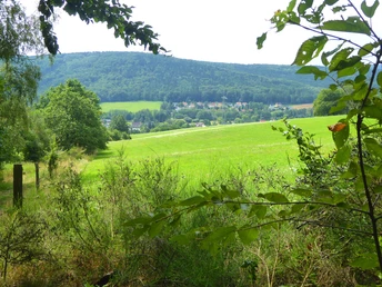 Blick auf Tautewalde vom Picho