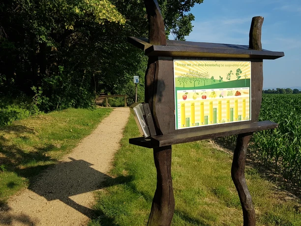 Bienenlehrpfad Görlitz/Schlauroth Bienenlehrpfad Görlitz/Schlauroth