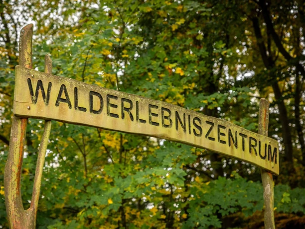 Walderlebniszentrum in Leupoldishain